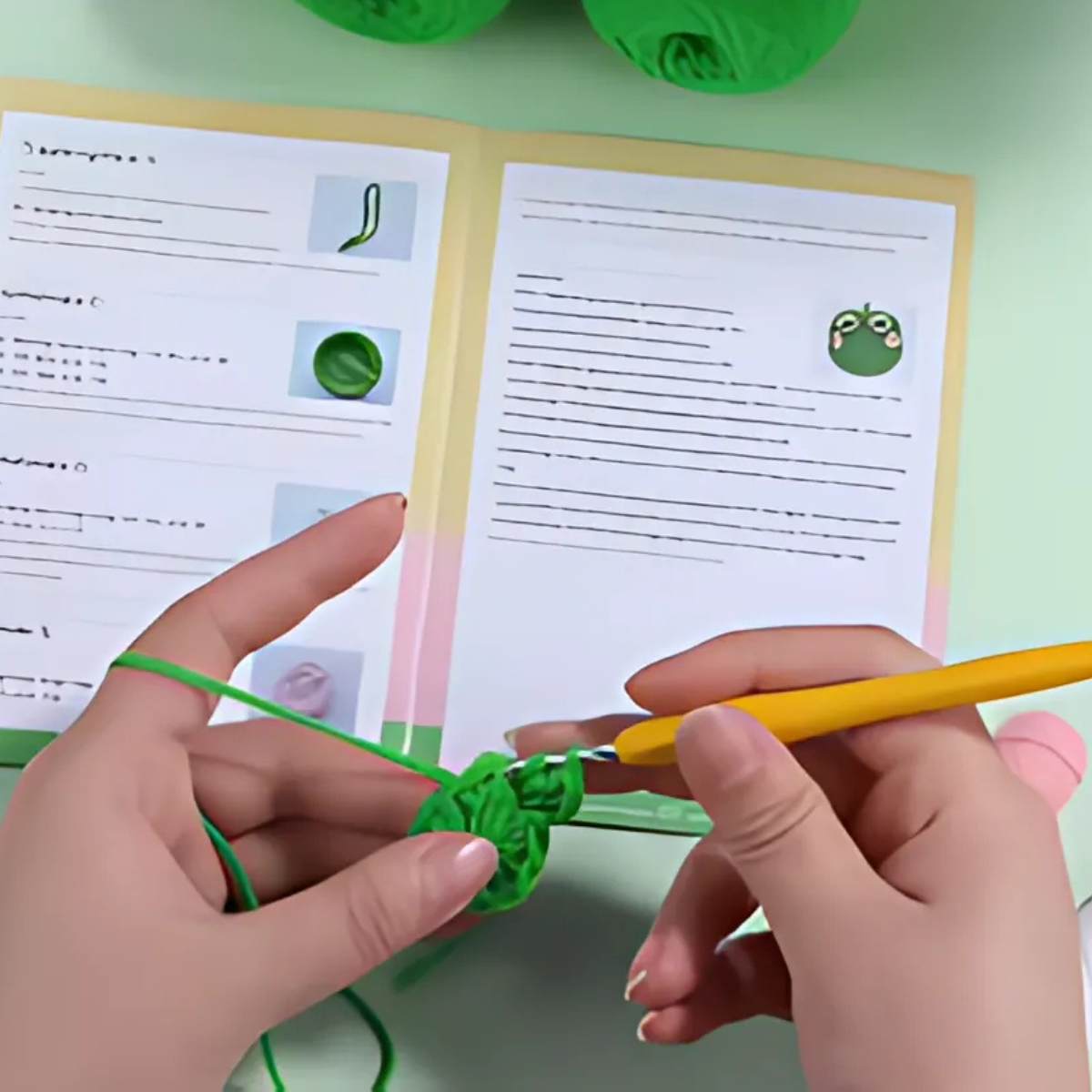 Frog Storage Bag Crochet Kit