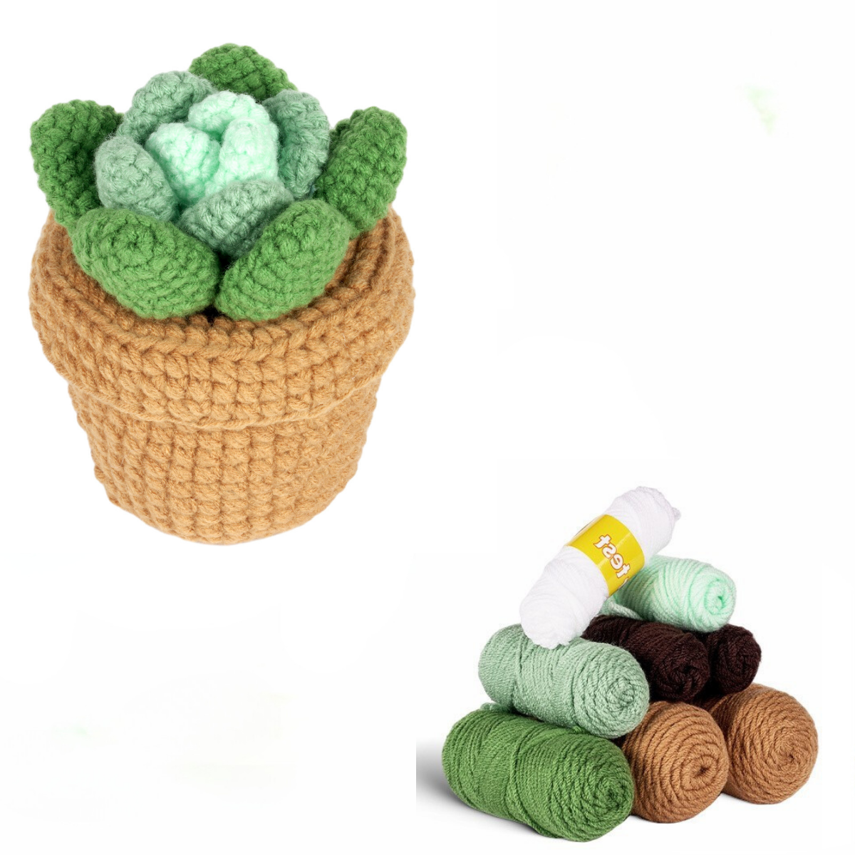 Cactus Crochet Storage Box Kit