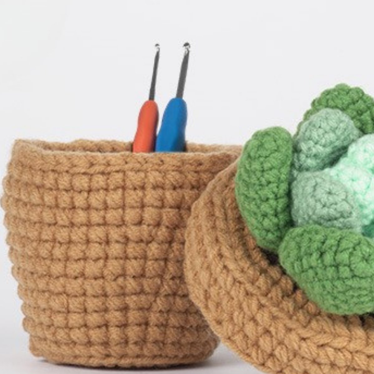 Cactus Crochet Storage Box Kit