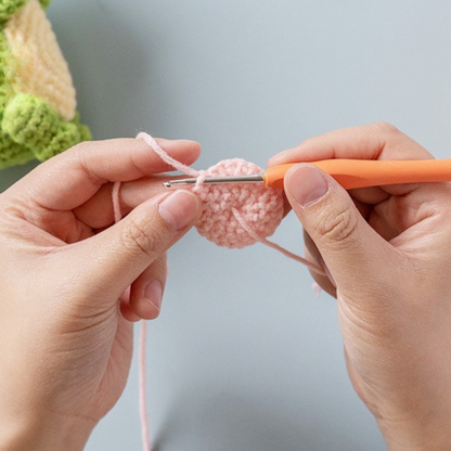 Crochet Dinosaur Kit 2pcs