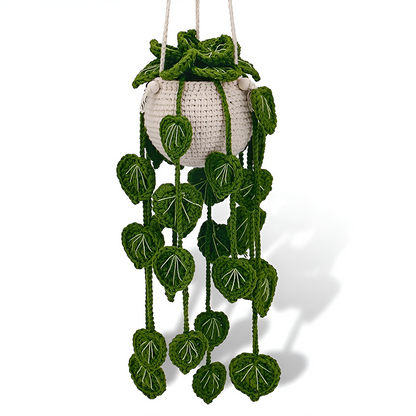 Hanging Plant Crochet Kit