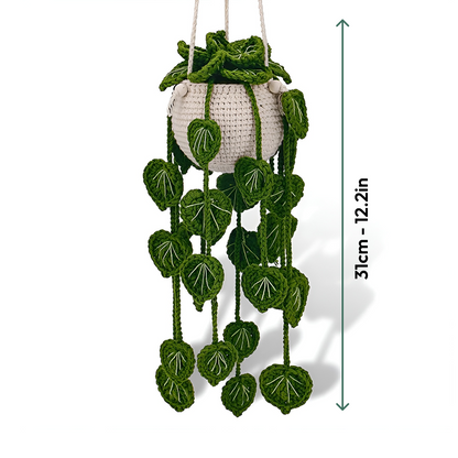 Hanging Plant Crochet Kit