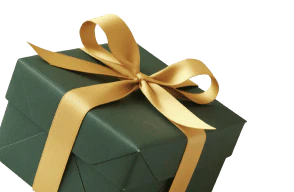 Surprise Mystery Gift